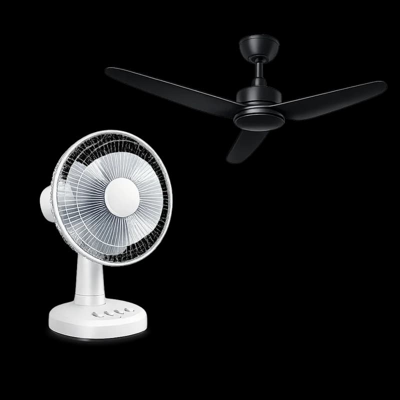 Fans